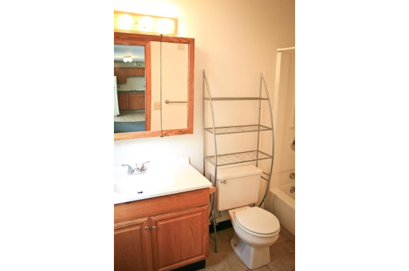 211 Comstock Ave, #4 (Photo 2)