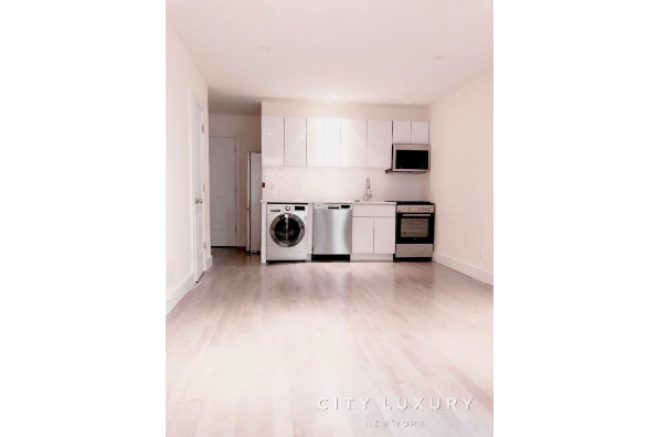 66 St NIcholas Pl, Studio (Photo 4)