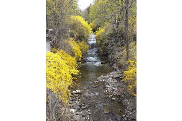 1191 E Shore Dr (Photo 3)