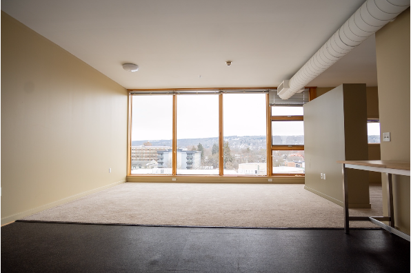 H. H. Cayuga Place, 1 Bedroom (Photo 5)