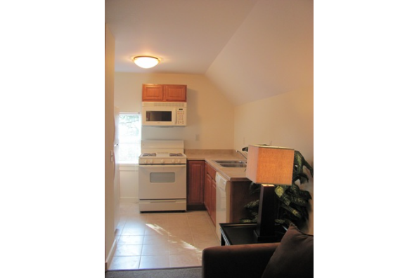 209 Williams St, Rear All (Photo 4)