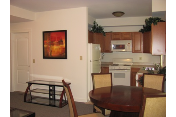 209 Williams St, Rear All (Photo 3)