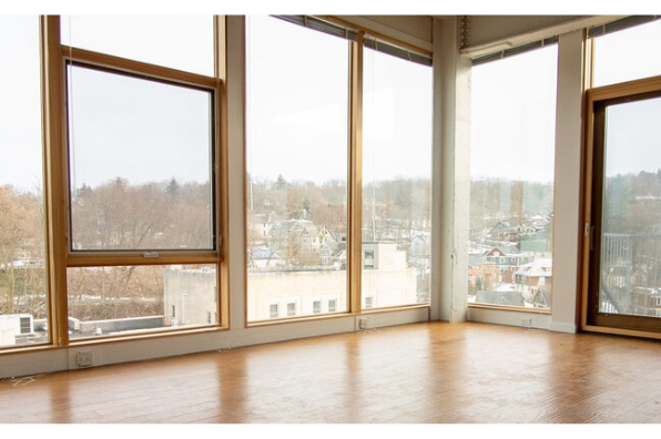 Cayuga Loft, 1 Bedroom (Photo 1)