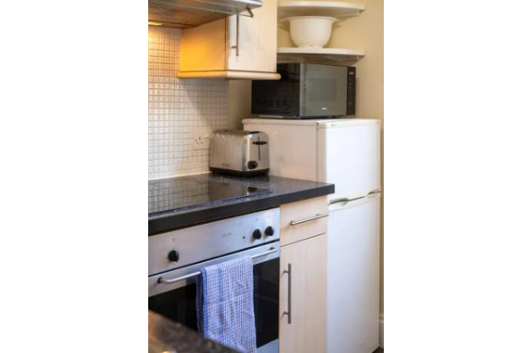 New Paltz Gardens (Photo 9)