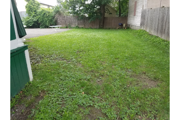 26 Lincoln Ave, Downstairs 6 bed (Photo 4)